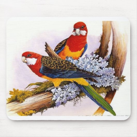 Schöne farbenfrohe Papageien Mousepad (Vorne)