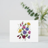 Schöne, farbenfrohe Platterbsen Postkarte (Stehend Vorderseite)