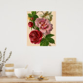 Schöne farbenfrohe Rose Poster (Küche)