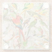 Schöne farbenfrohe Vintage tropische Vogelarten Glasuntersetzer (Rückseite)
