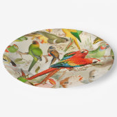 Schöne farbenfrohe Vintage tropische Vogelarten Pappteller (Schrägansicht)
