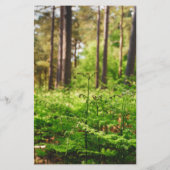 Schöne Farnwälder Briefpapier (Rückseite)