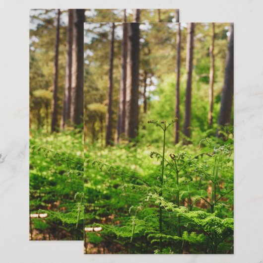 Schöne Farnwälder Briefpapier (Vorne/Hinten)