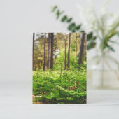 Schöne Farnwälder Postkarte (Stehend Vorderseite)