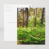 Schöne Farnwälder Postkarte (Vorne/Hinten)