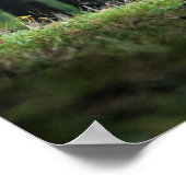 Schöne Fauna Natur Poster (Ecke)