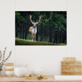 Schöne Fauna Natur Poster (Küche)