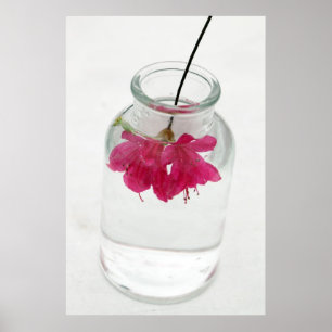 Schöne Fehler Poster