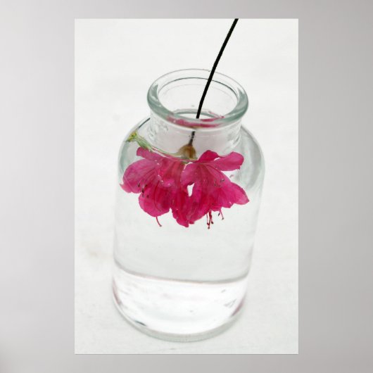 Schöne Fehler Poster (Vorne)