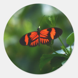 Schöne, feine Rot- und Schwarzschmetterling Runder Aufkleber