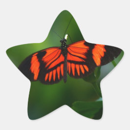 Schöne, feine Rot- und Schwarzschmetterling Stern-Aufkleber