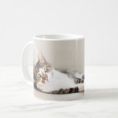 Schöne Feline Friend Cat Lovers' Foto Tasse (Vorderseite Links)