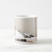 Schöne Feline Friend Cat Lovers' Foto Tasse (Mittel)