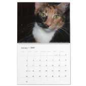 SCHÖNE FELINEN KALENDER (Jan 2027)