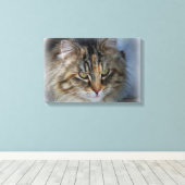 Schöne Feral Cat Portrait Canvas Print Leinwanddruck (Insitu (Holzboden))