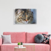 Schöne Feral Cat Portrait Canvas Print Leinwanddruck (Insitu (Wohnzimmer))