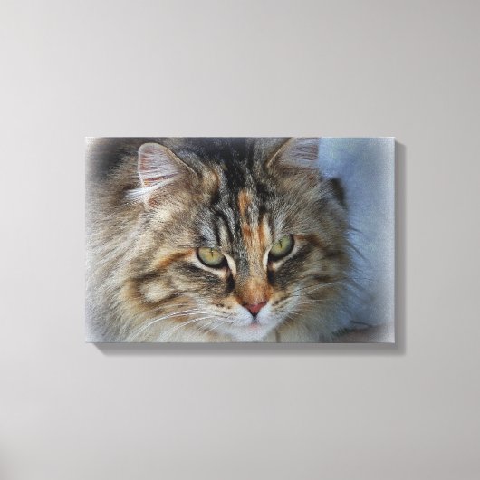 Schöne Feral Cat Portrait Canvas Print Leinwanddruck (Vorderseite)