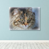 Schöne Feral Cat Portrait Canvas Print Leinwanddruck (Insitu (Holzboden))