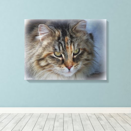 Schöne Feral Cat Portrait Canvas Print Leinwanddruck (Insitu (Holzboden))