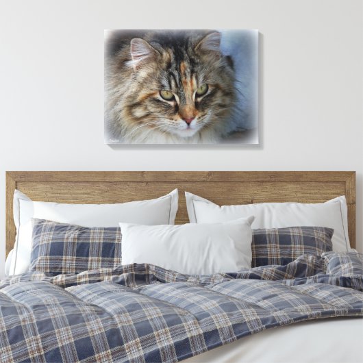 Schöne Feral Cat Portrait Canvas Print Leinwanddruck (Insitu (Schlafzimmer))
