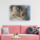 Schöne Feral Cat Portrait Canvas Print Leinwanddruck (Insitu (Wohnzimmer))