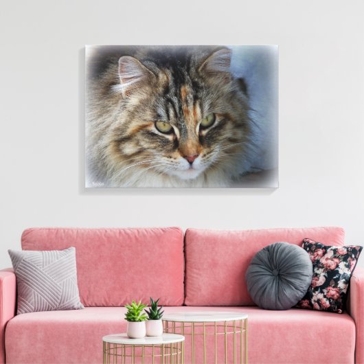 Schöne Feral Cat Portrait Canvas Print Leinwanddruck (Insitu (Wohnzimmer))