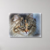 Schöne Feral Cat Portrait Canvas Print Leinwanddruck (Vorderseite)