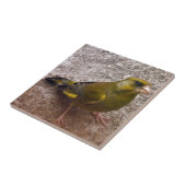 Schöne Finca Fliese (Seite)