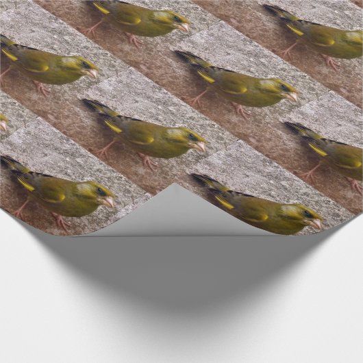 Schöne Finca Geschenkpapier (Ecke)