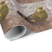 Schöne Finca Geschenkpapier (Rolleneckpunkt)