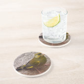 Schöne Finca Sandstein Untersetzer (Seite)