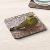 Schöne Finca Untersetzer (Linke Seite)