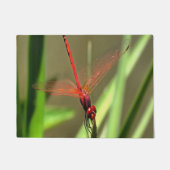 Schöne Firecracker Dragonfly Akryllische Malerei Fußmatte (Vorderseite)