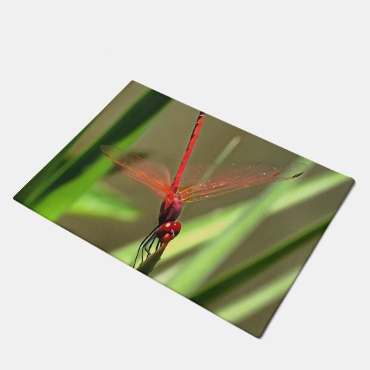 Schöne Firecracker Dragonfly Akryllische Malerei Fußmatte (Schrägansicht)