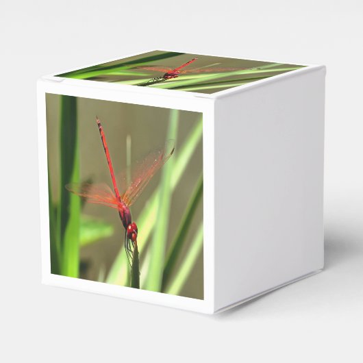 Schöne Firecracker Dragonfly Akryllische Malerei Geschenkschachtel (Vorderseite)