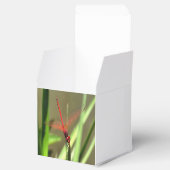 Schöne Firecracker Dragonfly Akryllische Malerei Geschenkschachtel (Geöffnet)