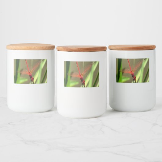 Schöne Firecracker Dragonfly Akryllische Malerei Lebensmitteletikett (Flaschen)