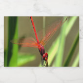Schöne Firecracker Dragonfly Akryllische Malerei Lebensmitteletikett (Einzelnes Label)