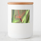 Schöne Firecracker Dragonfly Akryllische Malerei Lebensmitteletikett (Vorderseite)