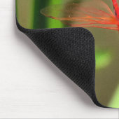 Schöne Firecracker Dragonfly Akryllische Malerei Mousepad (Ecke)