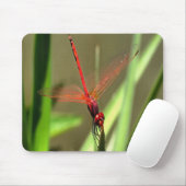 Schöne Firecracker Dragonfly Akryllische Malerei Mousepad (Mit Mouse)