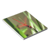 Schöne Firecracker Dragonfly Akryllische Malerei Notizblock (angewinkelt)