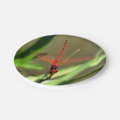 Schöne Firecracker Dragonfly Akryllische Malerei Pappteller (Schrägansicht)