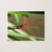 Schöne Firecracker Dragonfly Akryllische Malerei Puzzle (Horizontal)