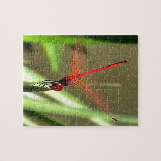 Schöne Firecracker Dragonfly Akryllische Malerei Puzzle (Horizontal)