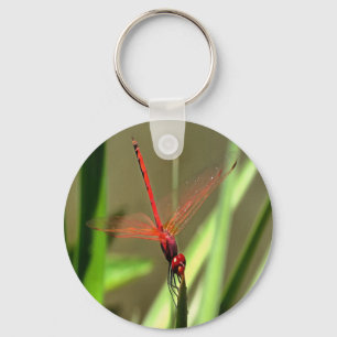 Schöne Firecracker Dragonfly Akryllische Malerei Schlüsselanhänger
