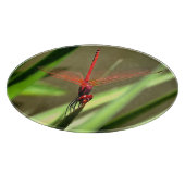 Schöne Firecracker Dragonfly Akryllische Malerei Schneidebrett (Ecke)