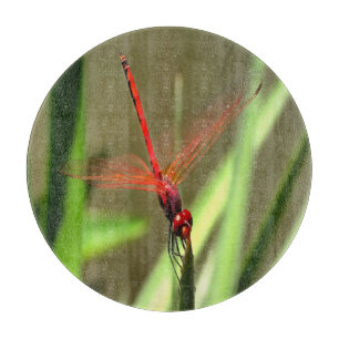 Schöne Firecracker Dragonfly Akryllische Malerei Schneidebrett
