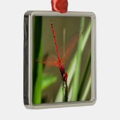 Schöne Firecracker Dragonfly Akryllische Malerei Silbernes Ornament (Rechts)
