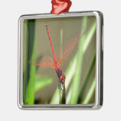 Schöne Firecracker Dragonfly Akryllische Malerei Silbernes Ornament (Links)